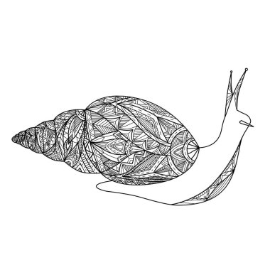 Boho desenli siyah beyaz bir salyangoz çizimi. Boyama kitapları, kartlar ve yaratıcılığınız için vektör karalama resmi.