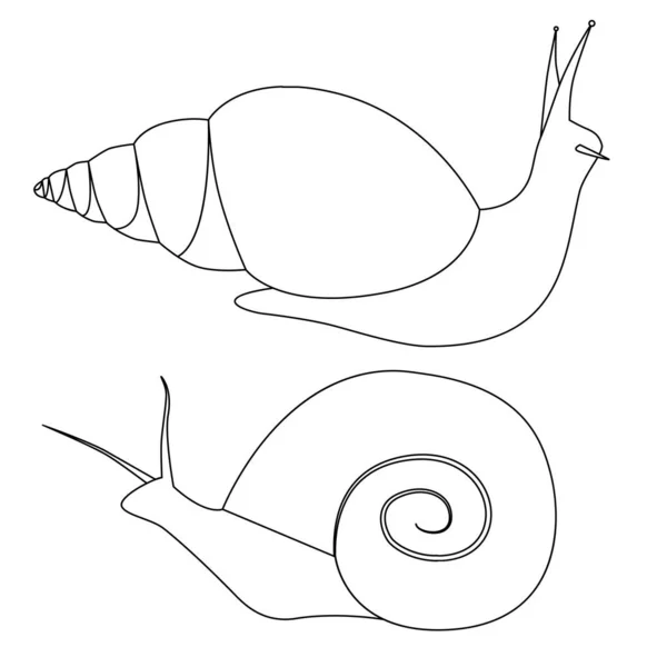 Set Lumache Contorno Varie Forme Gli Oggetti Sono Separati Dallo — Vettoriale Stock