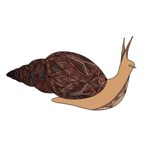 Illustration Contour Couleur Escargot Avec Motif Boho Image Vectorielle Gribouillage — Image vectorielle