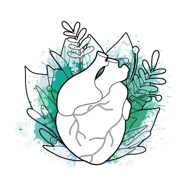 Illustration Schématique Cœur Réaliste Avec Des Feuilles Des Éclaboussures Aquarelle — Image vectorielle