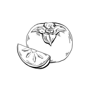 Bütün bir hurma ağacının robot resmini ve beyaz arka planda bir çizimin olduğu bir eskiz. Sağlıklı doğal yiyecekler. Menüler, tarifler ve yaratıcılığınız için vektör çizgisi çizimi.