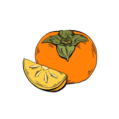 Bütün bir hurma ağacının renkli taslağı ve beyaz arka planda yumurtadan çıkan bir parça. Sağlıklı doğal yiyecekler. Menüler, tarifler ve yaratıcılığınız için vektör çizgisi çizimi.