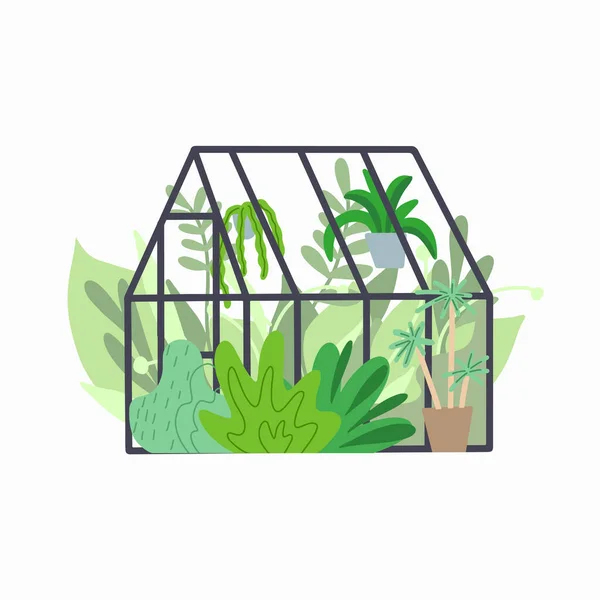 Huiskas Met Diverse Planten Glazen Oranjerie Met Bloemen Gras Hobby — Stockvector