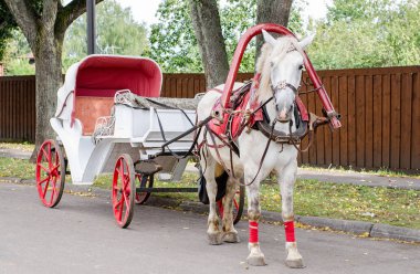Horse with a carriage for walking around the city of Suzdal. Golden Ring of Russia clipart
