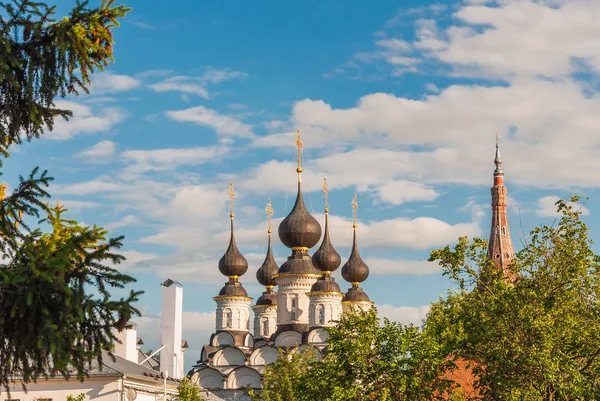 Купола Православной Церкви в Суздале, Россия. Золотое кольцо России — стоковое фото
