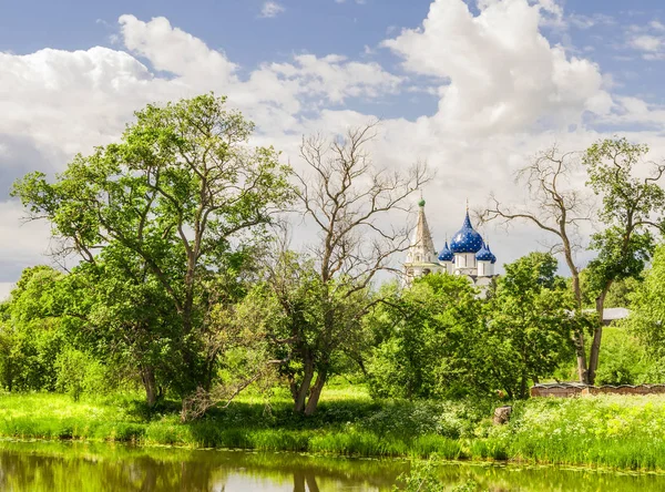 Landschap met de rivier en de bomen op de achtergrond van de Soezdal Kremlin, Rusland — Stockfoto