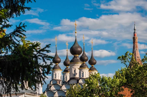Купола Православной Церкви в Суздале, Россия. Золотое кольцо России — стоковое фото
