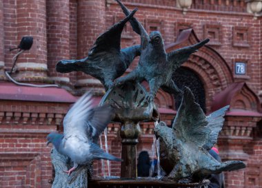 Rusya 'da Kazan' daki çan kulesindeki Epifani 'nin arka planında güvercinler olan çeşme.