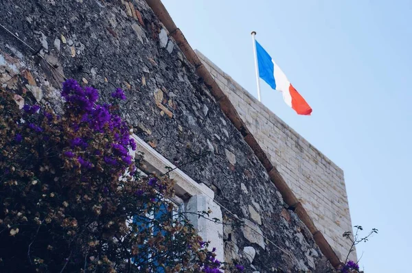 Old French house with flowers and blurry French flag on the background