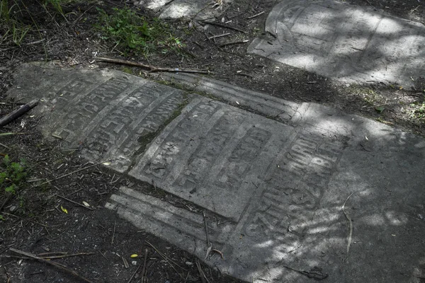 Путь Еврейских Надгробий Карьере Либан Который Частью Немецкого Концлагеря Плашов — стоковое фото