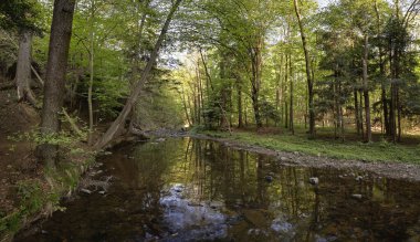 Çek Cumhuriyeti 'nin Vysocina bölgesindeki Krounka Nehri