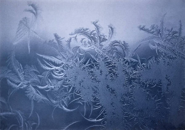 Pencerenin ayaz izi. Sahne başlangıçta yüksek tahıl filmde shot.