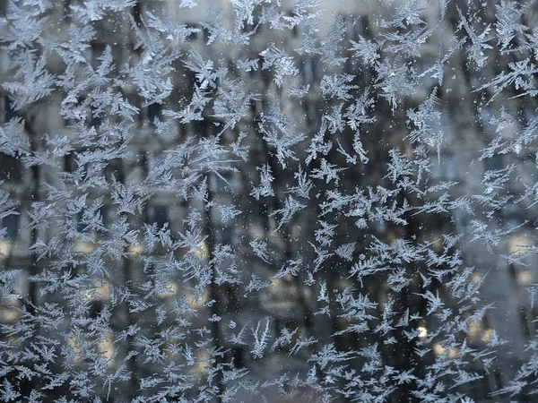 Frostmuster Auf Dem Glas — Stockfoto