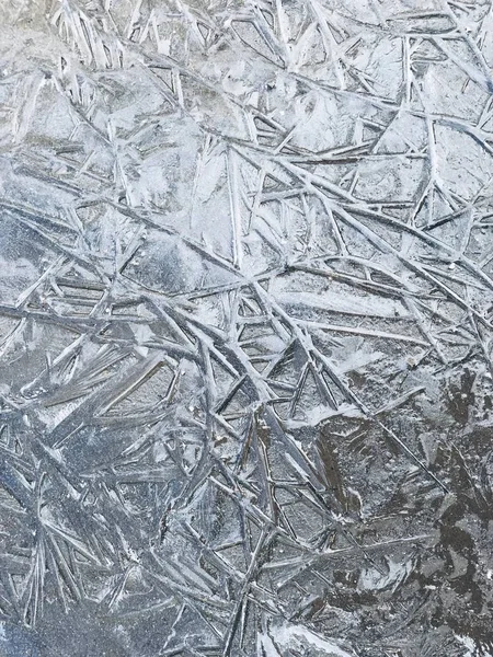 Su birikintisi dondurulmuş güzel