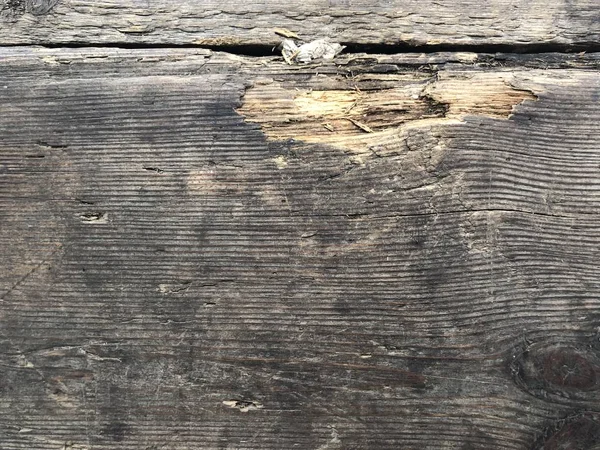 Doku eski ahşap tedavi