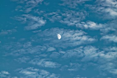 Günışığı ayı.