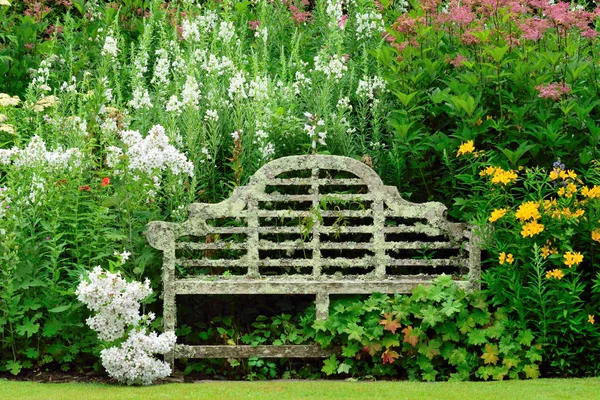 Seat with Lichen.