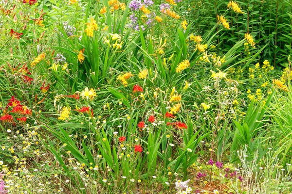 Gartengrenze. — Stockfoto