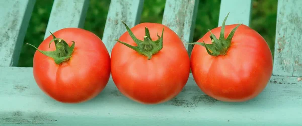 Stilleven. — Stockfoto