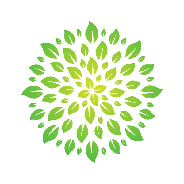 yaprak daire, bir ağacın taç çizimi, yaprakların bir daire