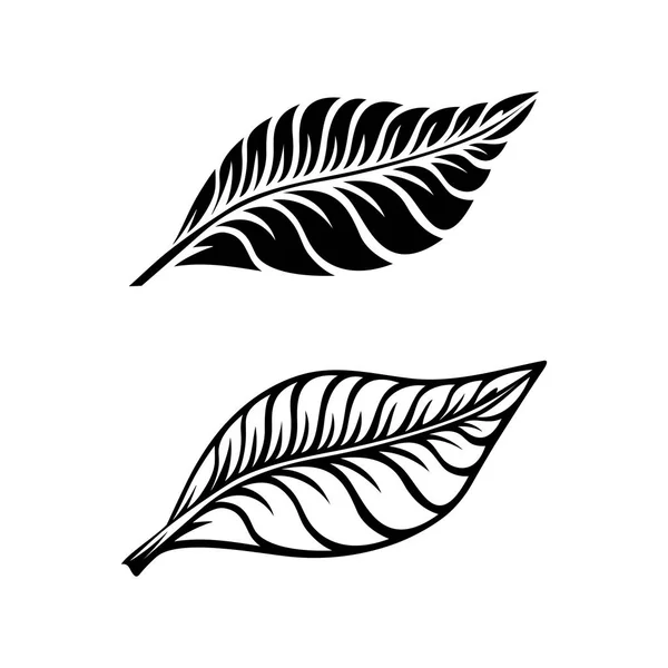 Blatt-Zeichen, Blatt einer tropischen Pflanze — Stockvektor