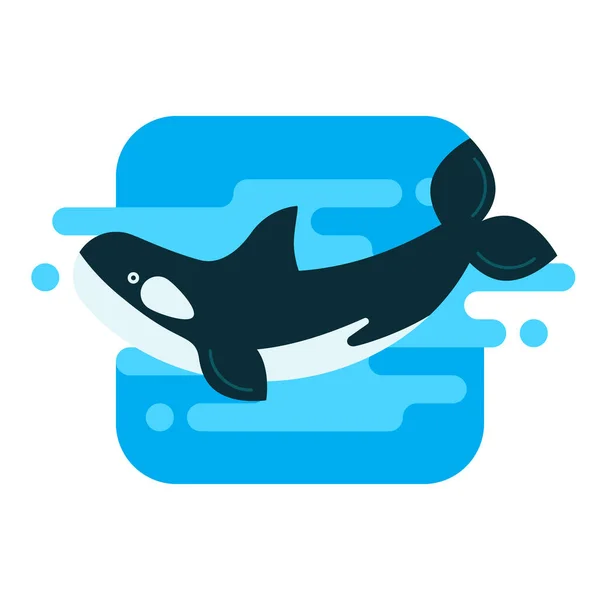 Ilustracja Orca w wodzie — Wektor stockowy