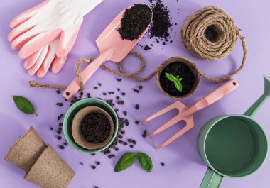 menekşe arka plan üzerinde Bahçe aletleri bileşimi