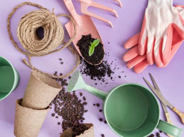 menekşe arka plan üzerinde Bahçe aletleri bileşimi