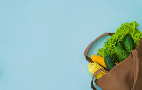 Fresh Vegetables Cotton Bag Zero Waste Concept — Stock Photo, Image