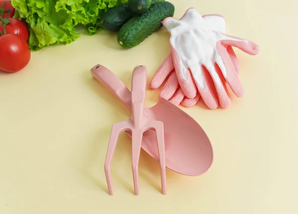 Composición Herramientas Jardinería Verduras Sobre Fondo Amarillo — Foto de Stock