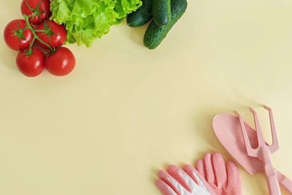 Sammansättningen Trädgårdsredskap Och Grönsaker Gul Bakgrund — Stockfoto