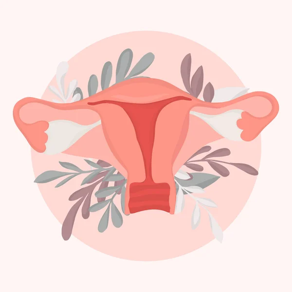 Ręcznie Rysowane Wektor Ilustracja Układu Rozrodczego Kobiet — Wektor stockowy