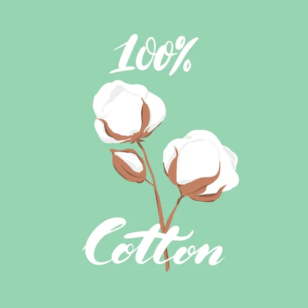 Illustration Vectorielle Fleurs Coton Dessinées Main Avec Texte Sur Fond — Image vectorielle