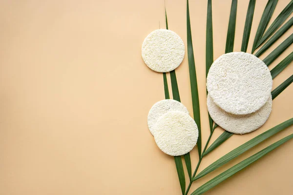 Esponjas de luffa para el cuidado de la cara, concepto de cero residuos — Foto de Stock