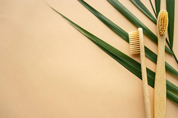 Imagem de perto de duas escovas de bambu naturais — Fotografia de Stock