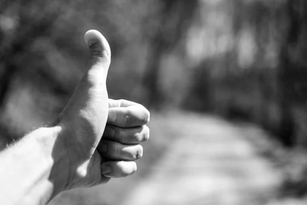 Showing thumbs up black and white background, Good way symbol, Isolated male hand symbol in nature way, Concept for sucess and reaching goals