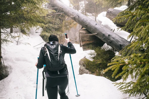 Atlet Kış Dağlar Kış Manzara Düşen Ağaçlar Tehlikesi Içinde Genç — Stok fotoğraf