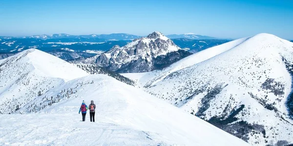Wanita Melakukan Perjalanan Alpen Bersalju Alpine Daerah Wisata Dengan Orang — Stok Foto
