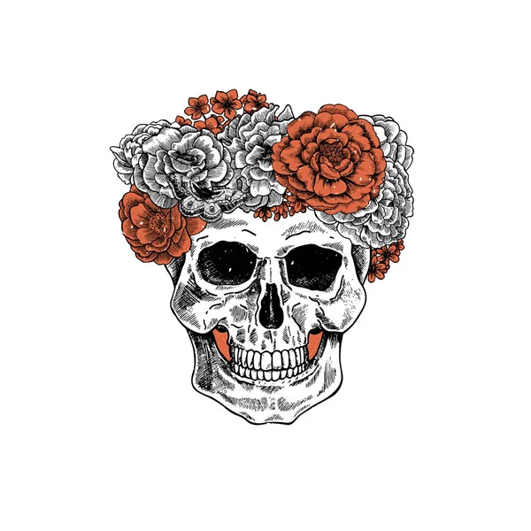 Vintage botanical skull illustration. Floral  human skeleton.
