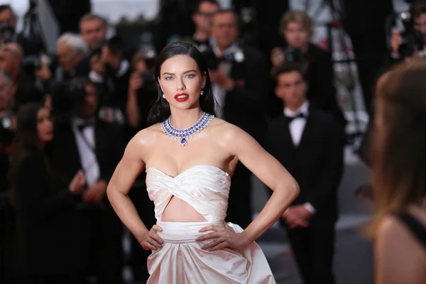 Adriana Lima Attends Screening Burning 71St Cannes Film Festival Palais — Stock Photo, Image