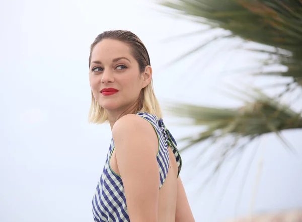 Marion Cotillard Részt Vesz Fényképes Hívás Angyal Face Gueule Ange — Stock Fotó