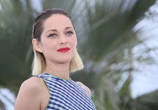 Marion Cotillard Részt Vesz Fényképes Hívás Angyal Face Gueule Ange — Stock Fotó