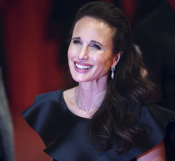 Andie Macdowell Partecipa Alla Prima Gentilezza Degli Estranei 69Esimo Berlinale — Foto Stock