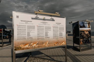 Fotoğraf Bakü, Azerbaycan 'da çekildi.