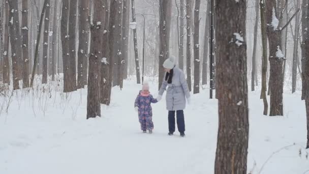Anya és lánya séta a havas erdőben vagy parkban — Stock videók