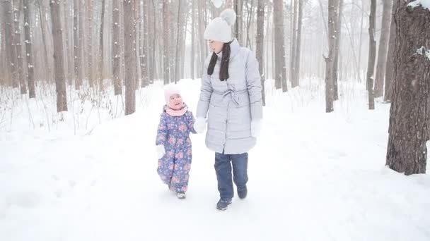 Mãe e filha andando na floresta nevada ou no parque — Vídeo de Stock