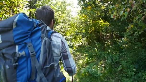 Concept of hiking and tourism. A man is walking along a summer forest — Stock Video