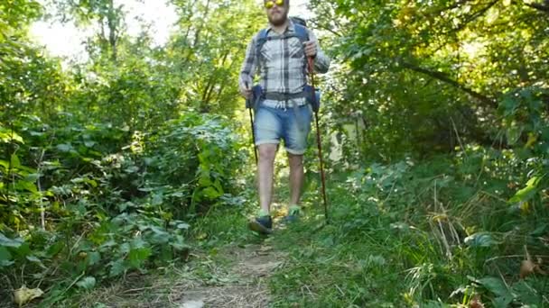 Begreppet Fotvandring och turism. En man promenerar längs en sommar skog — Stockvideo