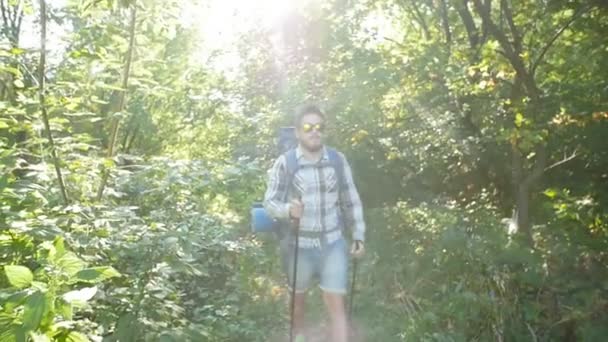 Begreppet Fotvandring och turism. En man promenerar längs en sommar skog — Stockvideo