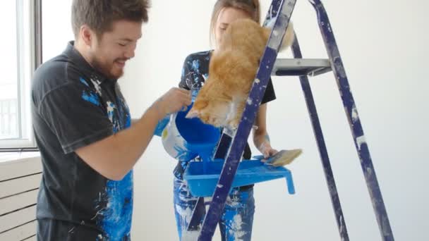 Reparação, construção e novo conceito de casa. feliz jovem casal com gato pintura plana — Vídeo de Stock